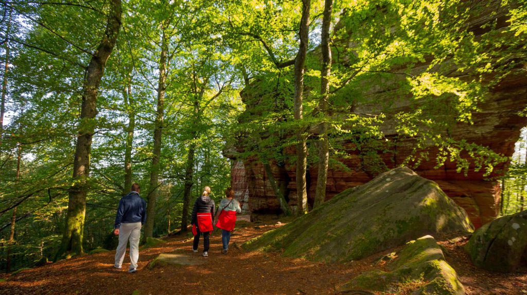 Der Altschloßpfad zum Altschloßfelsen - Unverhofft beeindruckend 9 Altschlosspfad