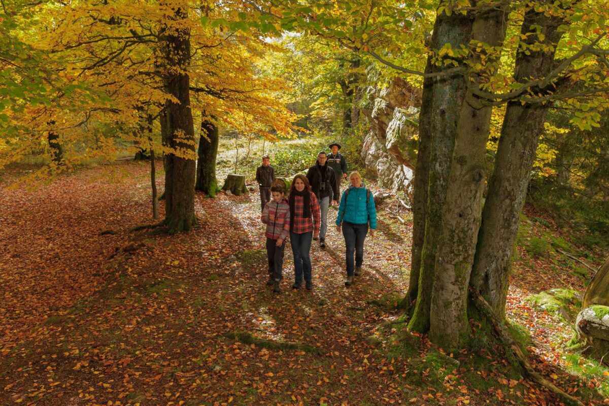 Ruhe statt Rummel: Diese 5 Wanderziele in Deutschland kennt (noch) kaum jemand – perfekt für dein Natur-Timeout 2 Saar Hunsrück Steig mit einem Ranger