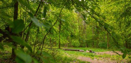 Trekkingplätze uf dem Lichtenfelser Panoramaweg