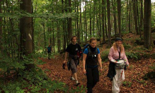 24h Wanderung im Schwarzwald 2 Ausverkauft / Warteliste 412