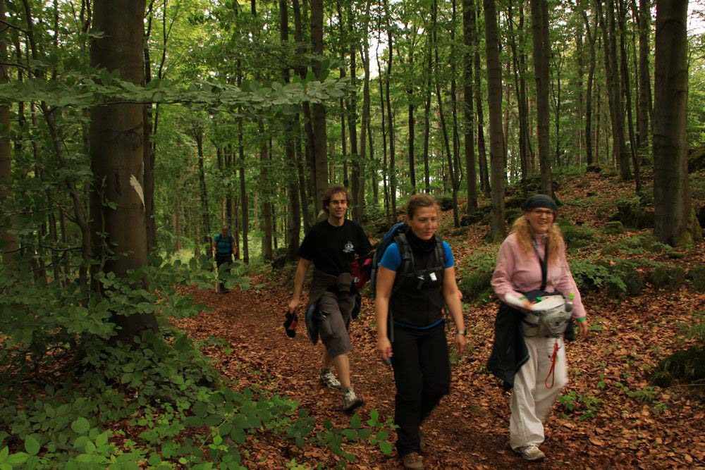 24h Wanderung im Schwarzwald 2 Ausverkauft / Warteliste 1 24h Wanderung im Schwarzwald 2 Ausverkauft / Warteliste 1