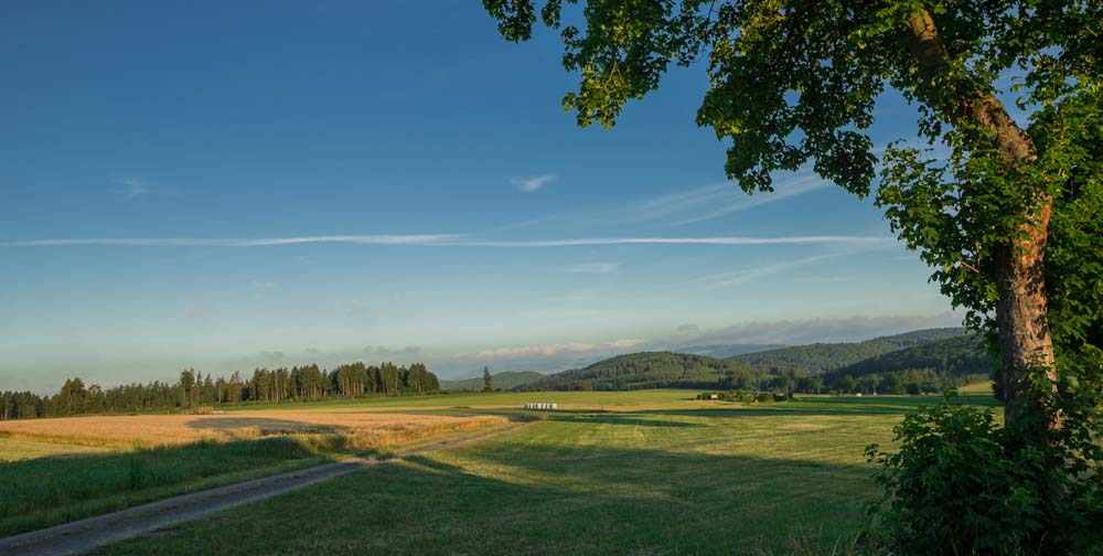 48h Wanderung - Willingen Edersee 2017