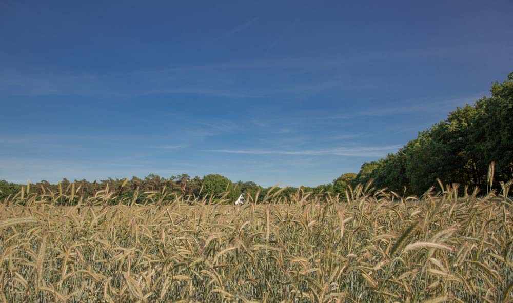 Teutoschleife Heiliges Meer 3 6C9B1944