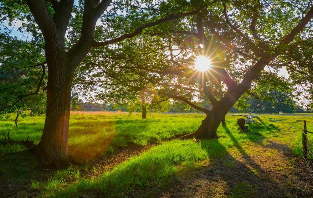 Teutoschleife Heiliges Meer 6 6C9B2125