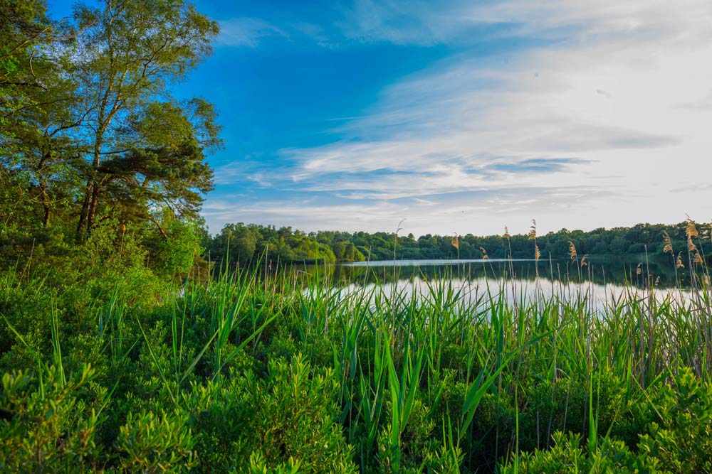 Teutoschleife Heiliges Meer 5 6C9B2146