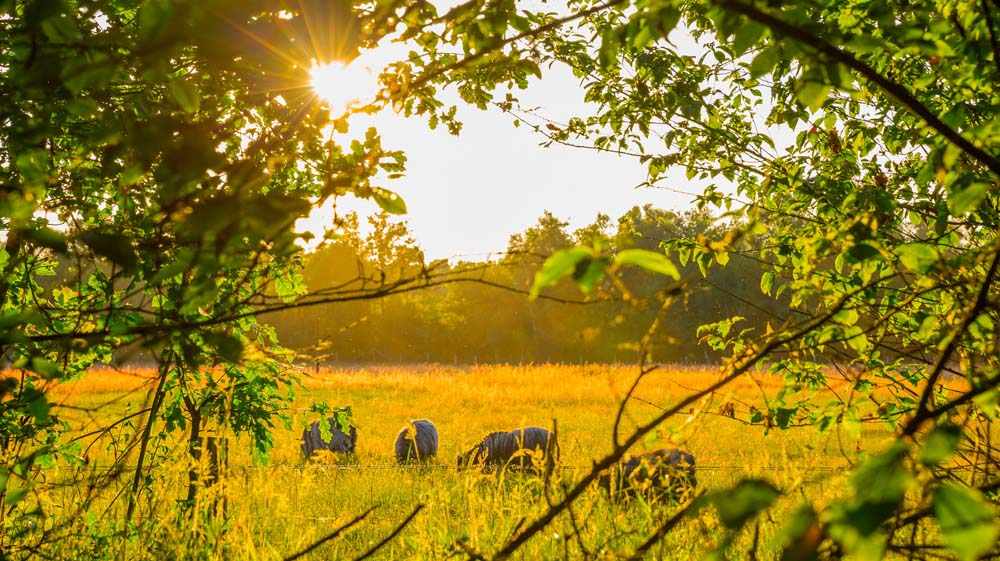 Teutoschleife Heiliges Meer 7 6C9B2180