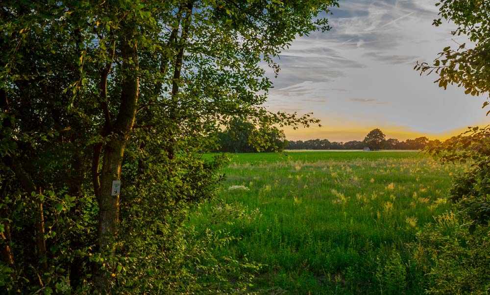 Teutoschleife Heiliges Meer 8 6C9B2214