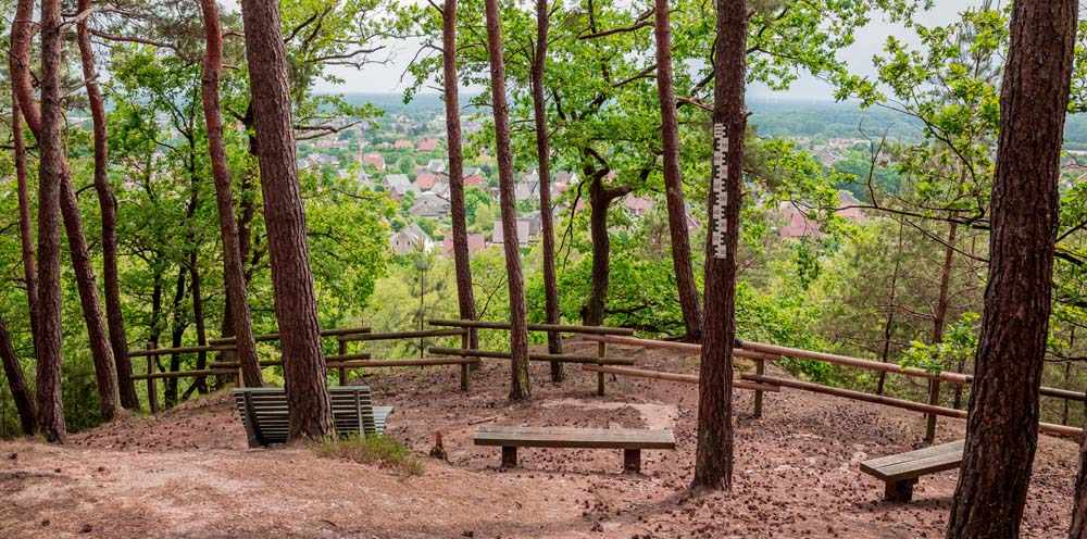 Waldauenweg 5 6C9B2396