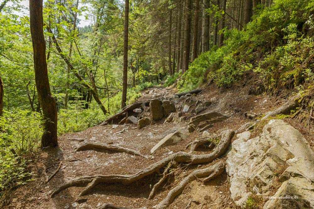 Trôs-Maret-Tal am Hohen Venn / GR56 2 Ostbelgien Tros-Maret-Tal