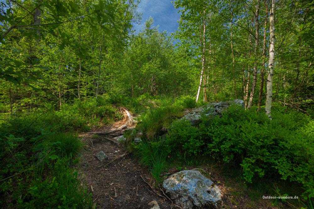 Trôs-Maret-Tal am Hohen Venn / GR56 5 Ostbelgien Tros-Maret-Tal