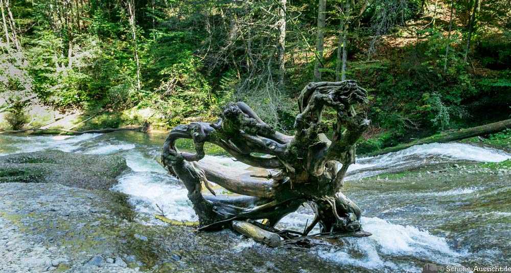 Wandern im Eistobel 9 Wandern im Eistobel 8