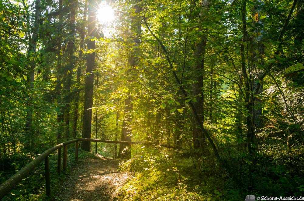 Wandern im Eistobel 3 Wandern im Eistobel 2