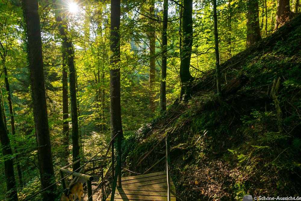 Wandern im Eistobel 4 Wandern im Eistobel 3