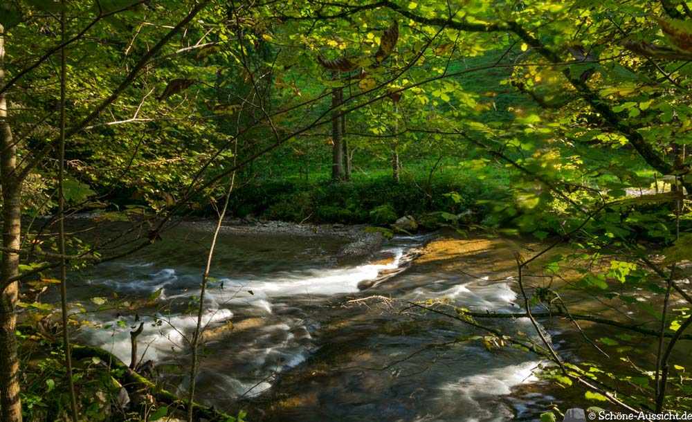 Wandern im Eistobel 6 Wandern im Eistobel 5