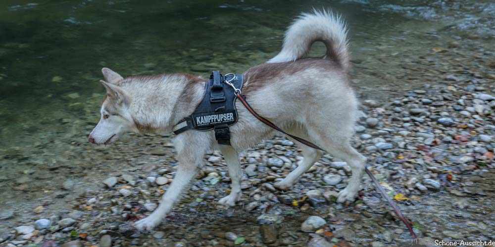 Wandern im Eistobel 12 Wandern im Eistobel 11