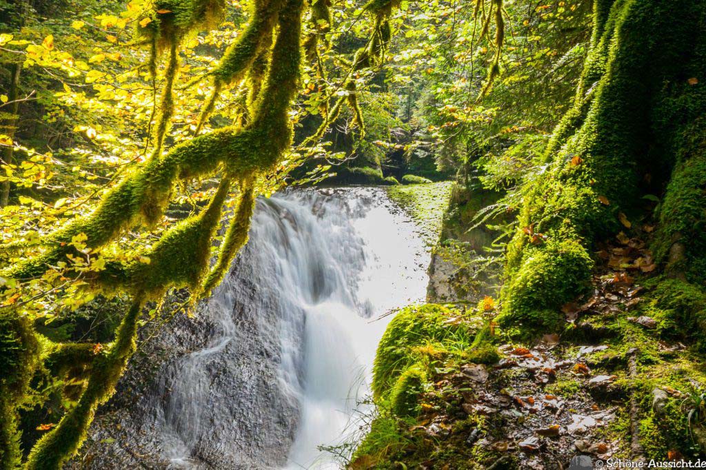 Wandern im Eistobel 10 Wandern im Eistobel 9