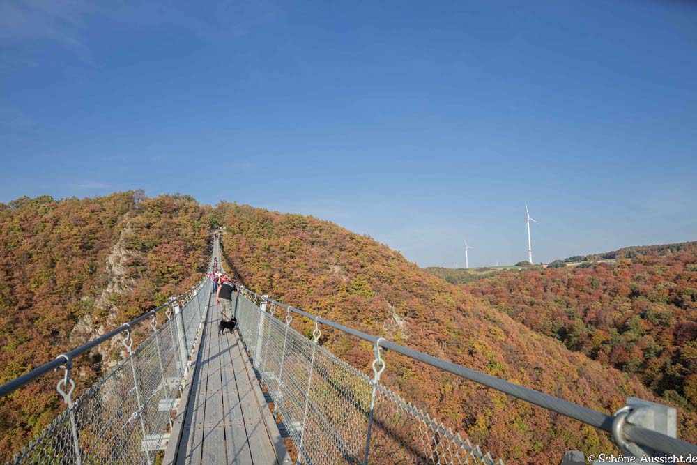 Geierlay - Die Hunsrück Hängebrücke in Mörsdorf 4