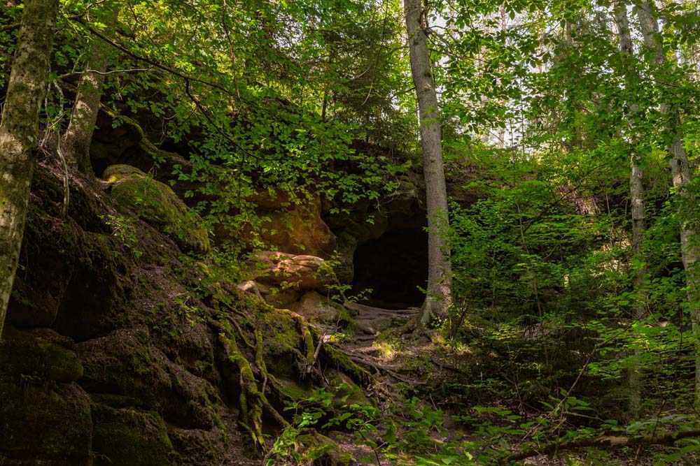 Die Schwarzachklamm im Nürnberger Land 7 Die Schwarzachklamm im Nürnberger Land 7