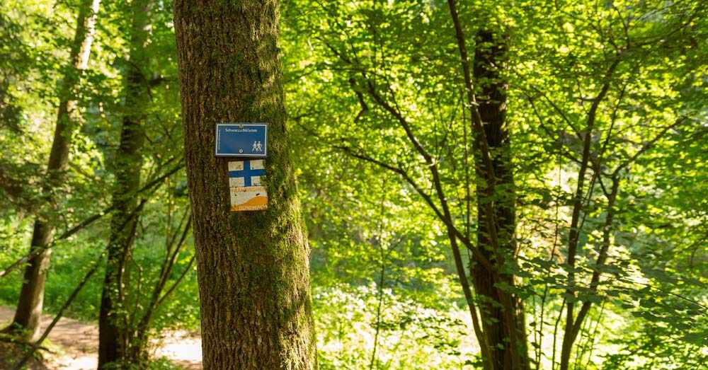 Die Schwarzachklamm im Nürnberger Land 6 Die Schwarzachklamm im Nürnberger Land 6