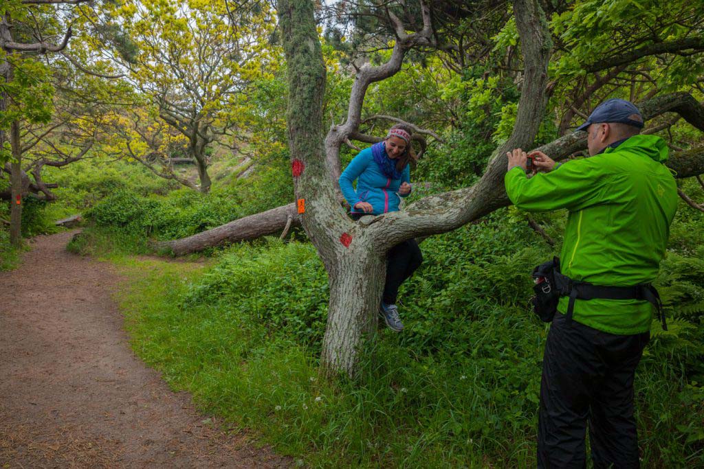 Kullaleden Trail 61 Kullaleden Trail 57