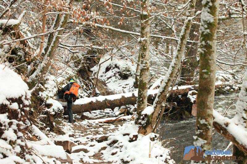 Raue Schönheit im Winter: Die Wutachschlucht 2 Raue Schönheit im Winter: Die Wutachschlucht 2