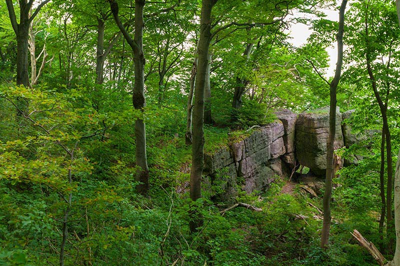 Ith-Hils-Weg - Top Wanderweg im Weserbergland 5