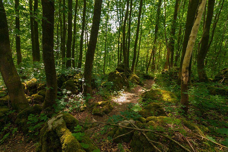 Ith-Hils-Weg - Top Wanderweg im Weserbergland 6