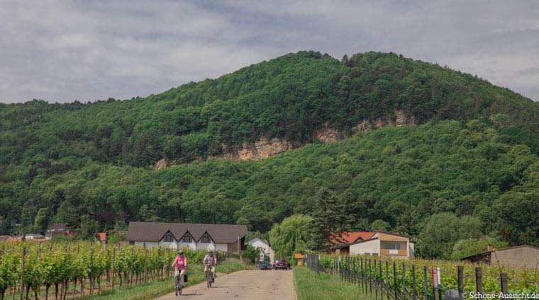 Pfälzer Hüttentour - Die Pflichttour in der Pfalz 6