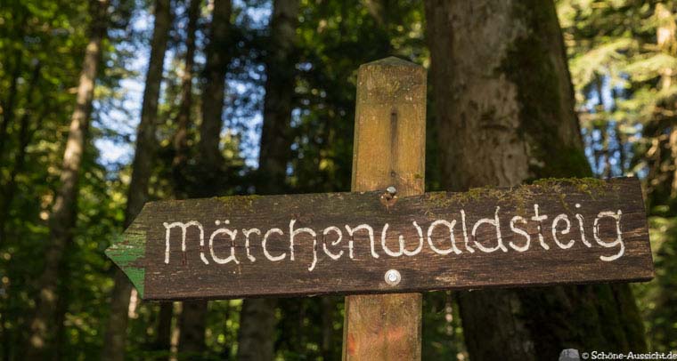 Wanderung zu den Thorau Almen 4