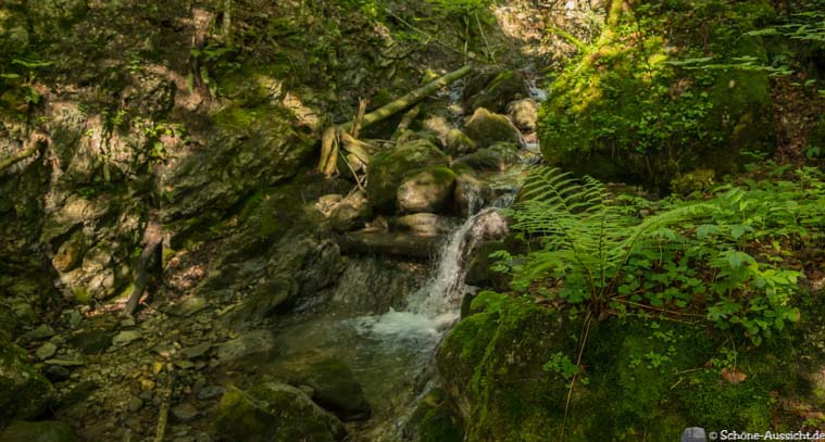 Wanderung zu den Thorau Almen 3