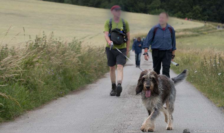 Extremwanderung mit Hund 1