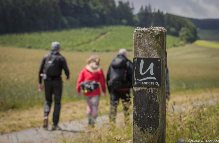 Trekkingplätze in NRW - Die schönsten Camps im Sauerland und Eifel 405