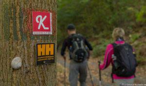 Wandern Hessen