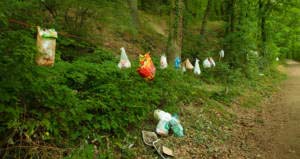 So sah der Laacher See einst bei meinem Besuch aus... nicht so schön zum Nacktbaden