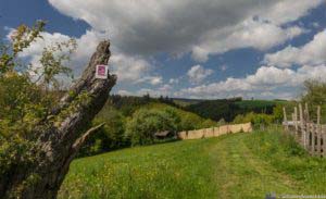 Oberstaufen und Steibis 9 Wandern Rheinland-Pfalz