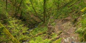 Oberstaufen und Steibis 32 Oberstaufen und Steibis 30