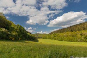 Oberstaufen und Steibis 34 Oberstaufen und Steibis 32
