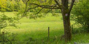Oberstaufen und Steibis 35 Oberstaufen und Steibis 33