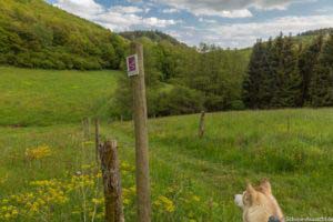 Oberstaufen und Steibis 36 Oberstaufen und Steibis 34