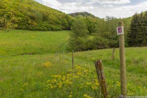 Oberstaufen und Steibis 37 Oberstaufen und Steibis 35