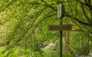 Oberstaufen und Steibis 39 Oberstaufen und Steibis 37