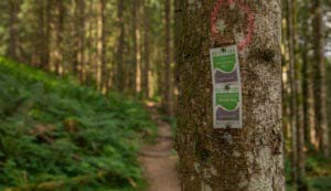 Alpenfreiheit Wanderung in Oberstaufen 20 Alpenfreiheit Wanderung in Oberstaufen 20