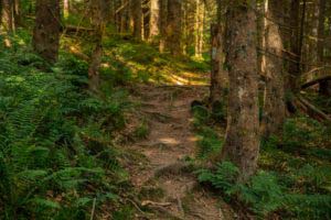 Alpenfreiheit Wanderung in Oberstaufen 21 Alpenfreiheit Wanderung in Oberstaufen 21
