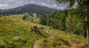 Alpenfreiheit Wanderung in Oberstaufen 23 Alpenfreiheit Wanderung in Oberstaufen 23