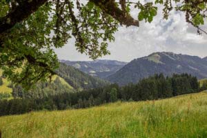 Alpenfreiheit Wanderung in Oberstaufen 26 Alpenfreiheit Wanderung in Oberstaufen 26