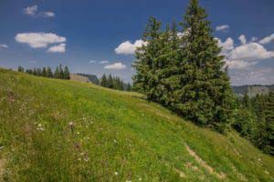 Alpenfreiheit Wanderung in Oberstaufen 40 Alpenfreiheit Wanderung in Oberstaufen 40