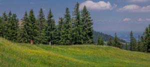 Alpenfreiheit Wanderung in Oberstaufen 43 Alpenfreiheit Wanderung in Oberstaufen 43