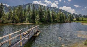 Alpenfreiheit Wanderung in Oberstaufen 47 Alpenfreiheit Wanderung in Oberstaufen 47