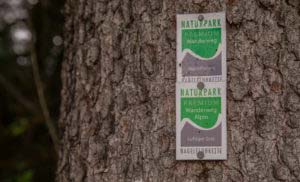 Alpenfreiheit Wanderung in Oberstaufen 14 Alpenfreiheit Wanderung in Oberstaufen 14