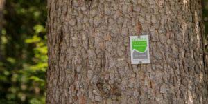 Alpenfreiheit Wanderung in Oberstaufen 54 Alpenfreiheit Wanderung in Oberstaufen 54